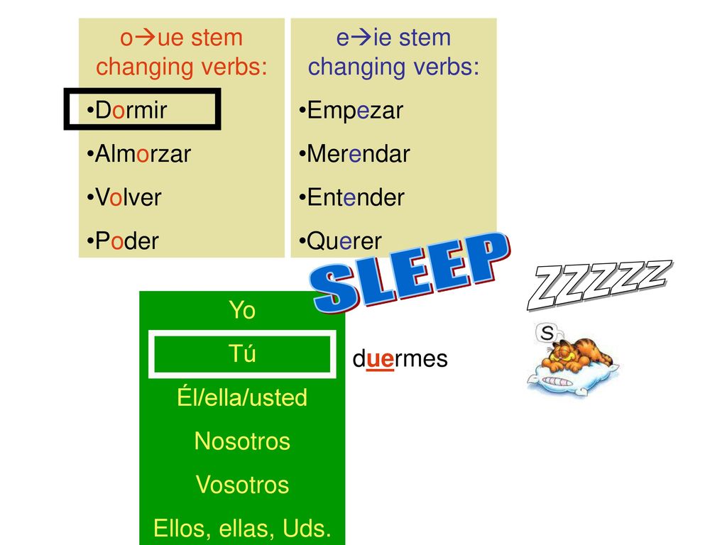 SLEEP ZZZZZ oue stem changing verbs: Dormir Almorzar Volver Poder