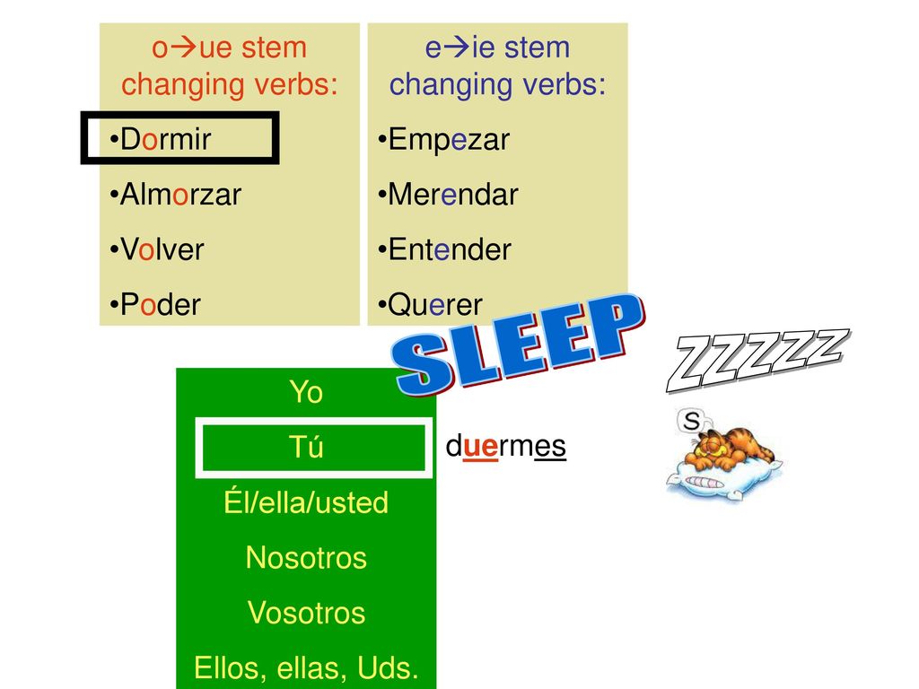 SLEEP ZZZZZ oue stem changing verbs: Dormir Almorzar Volver Poder