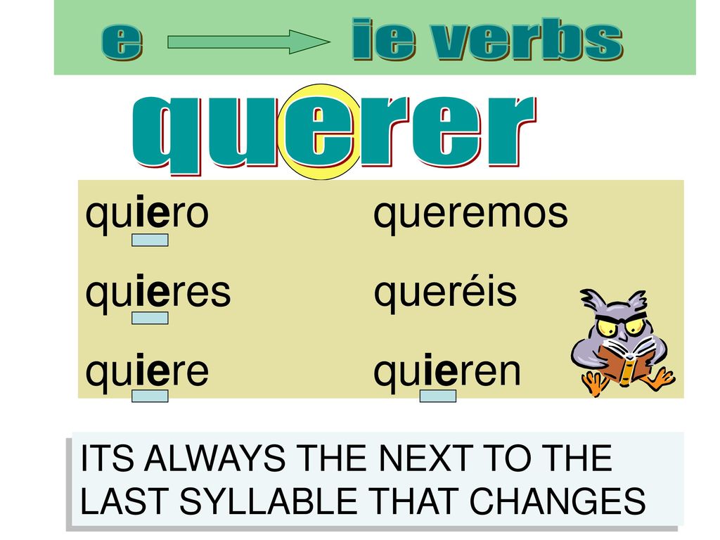 quiero queremos quieres queréis quiere quieren e ie verbs querer