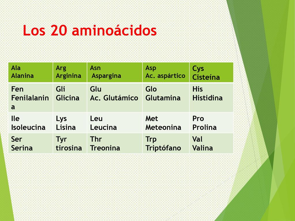 Los 20 aminoácidos Cys Cisteína Fen Fenilalanina Gli Glicina Glu