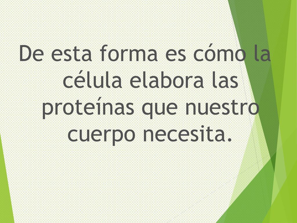 De esta forma es cómo la célula elabora las proteínas que nuestro cuerpo necesita.