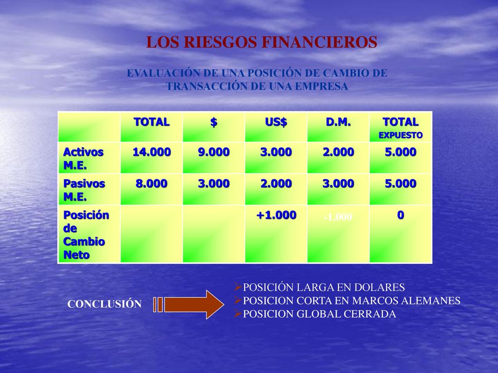 EVALUACIÓN DE UNA POSICIÓN DE CAMBIO DE TRANSACCIÓN DE UNA EMPRESA