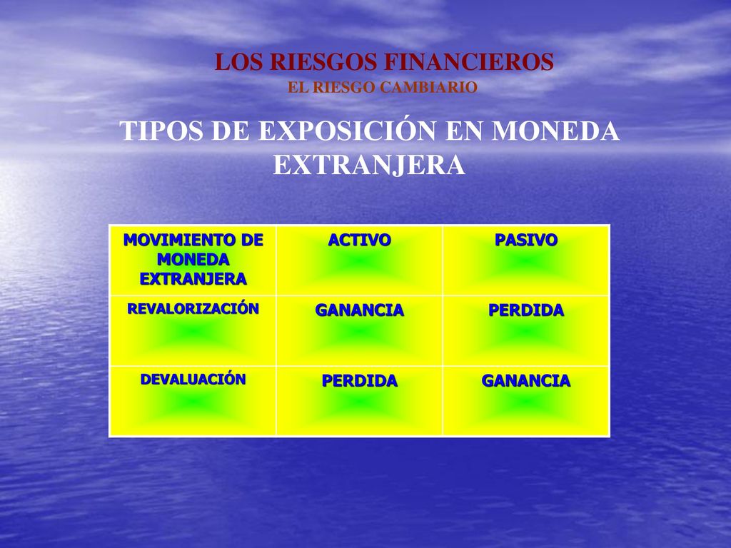 TIPOS DE EXPOSICIÓN EN MONEDA MOVIMIENTO DE MONEDA EXTRANJERA