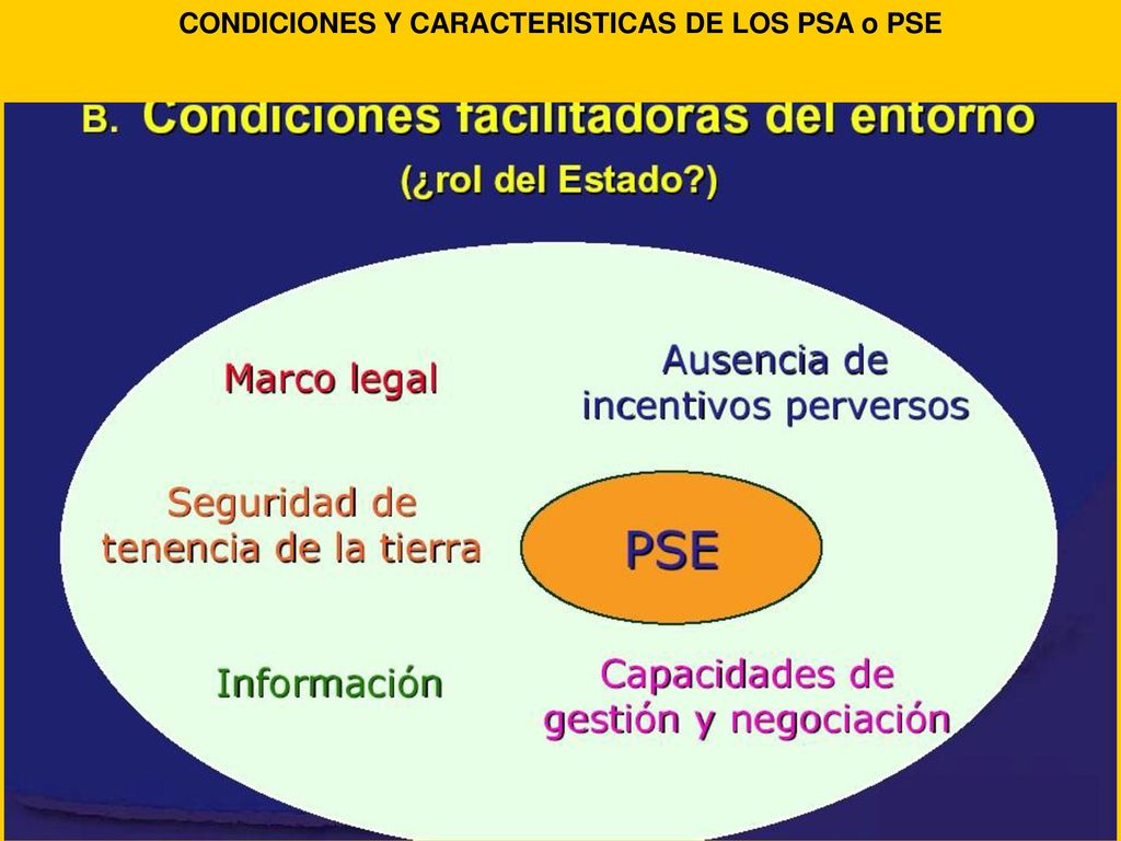 CONDICIONES Y CARACTERISTICAS DE LOS PSA o PSE