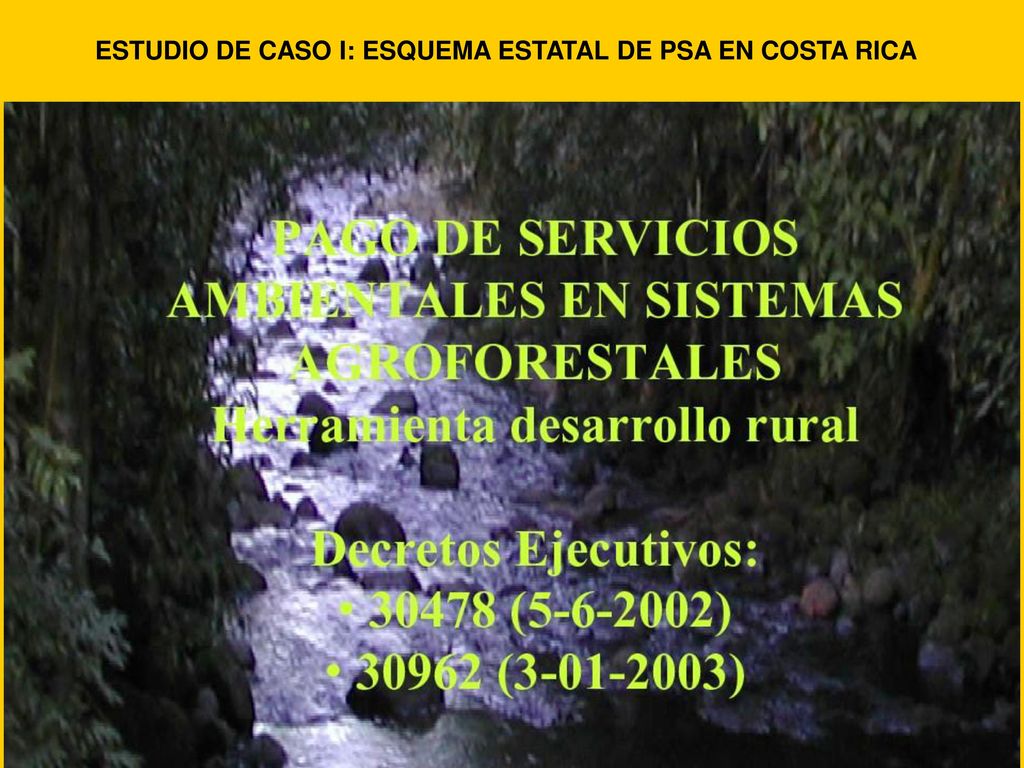 ESTUDIO DE CASO I: ESQUEMA ESTATAL DE PSA EN COSTA RICA