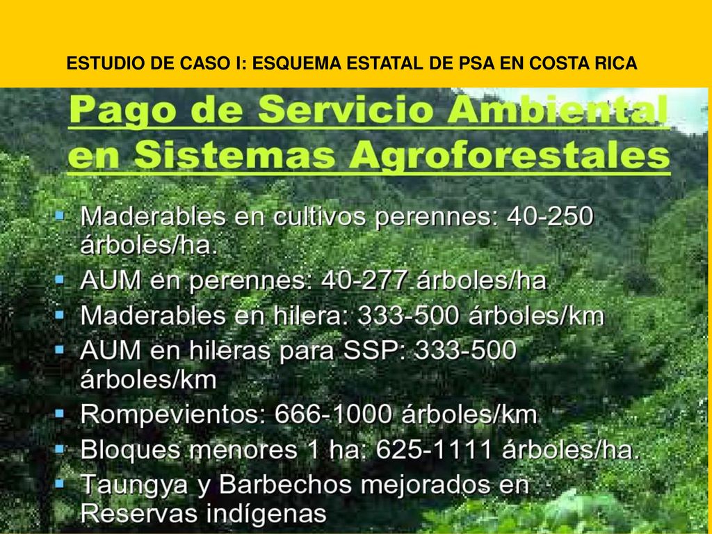 ESTUDIO DE CASO I: ESQUEMA ESTATAL DE PSA EN COSTA RICA