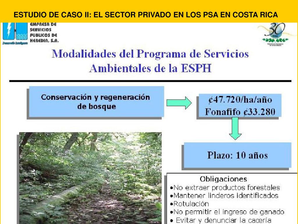 ESTUDIO DE CASO II: EL SECTOR PRIVADO EN LOS PSA EN COSTA RICA