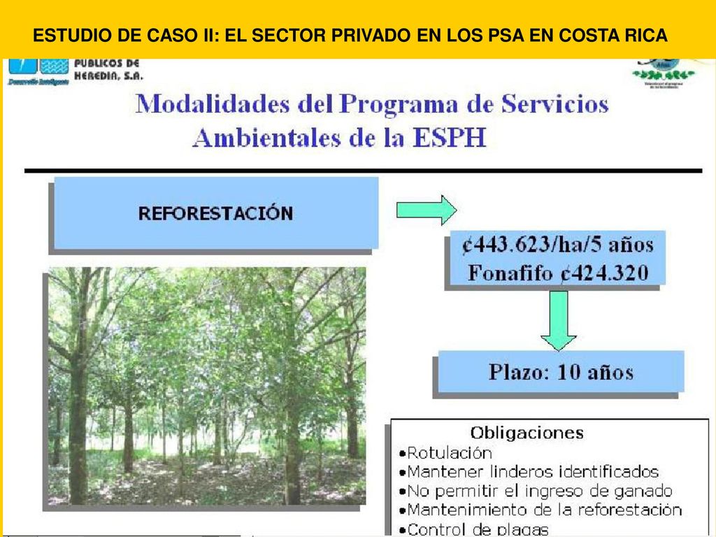 ESTUDIO DE CASO II: EL SECTOR PRIVADO EN LOS PSA EN COSTA RICA