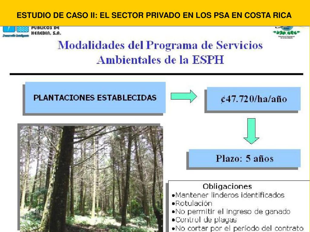 ESTUDIO DE CASO II: EL SECTOR PRIVADO EN LOS PSA EN COSTA RICA
