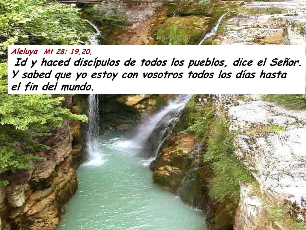 Aleluya Mt 28: 19,20, Id y haced discípulos de todos los pueblos, dice el Señor.
