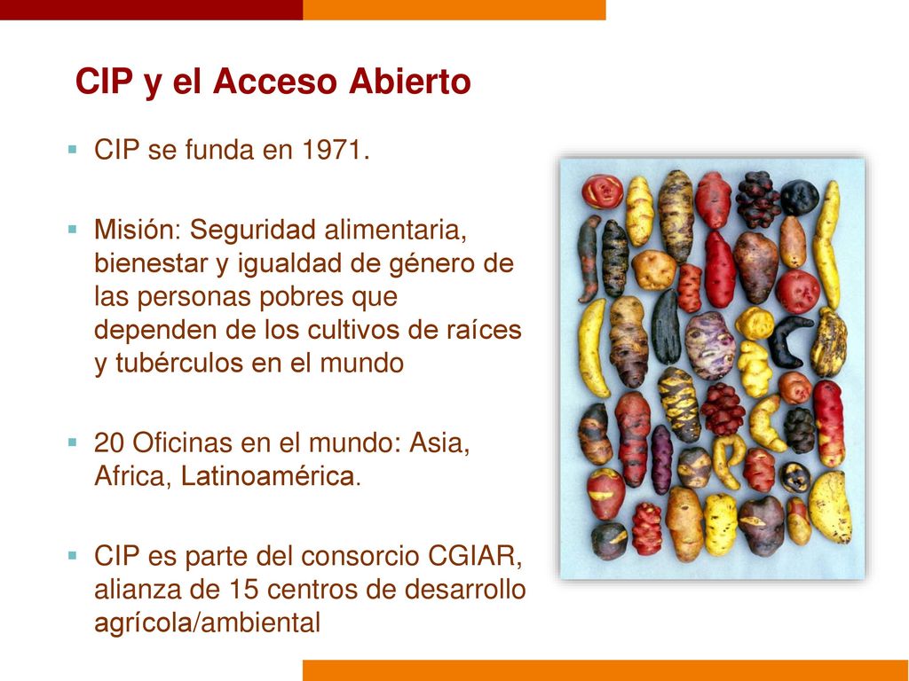CIP y el Acceso Abierto CIP se funda en 1971.