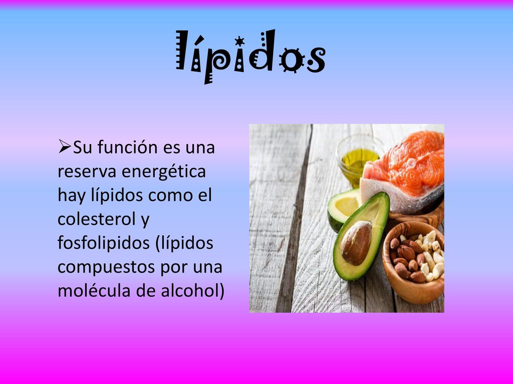 lípidos Su función es una reserva energética hay lípidos como el colesterol y fosfolipidos (lípidos compuestos por una molécula de alcohol)