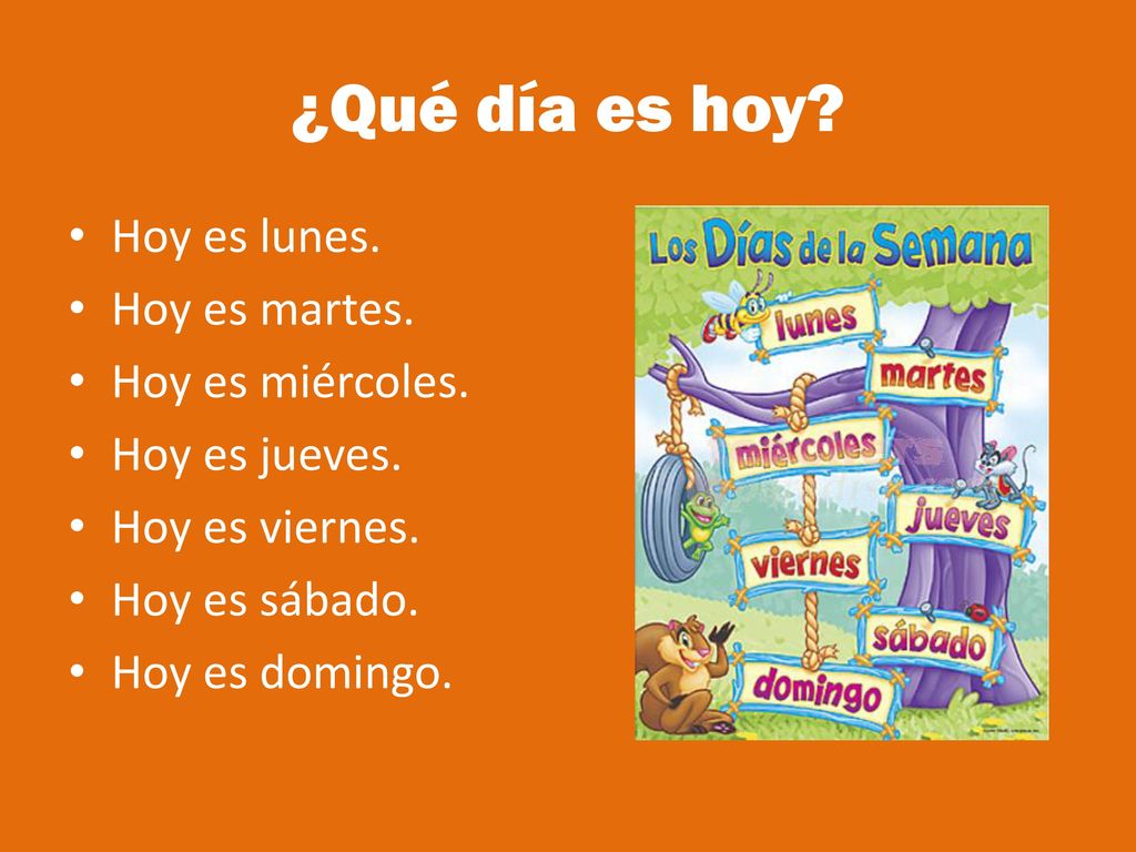 ¿Qué día es hoy Hoy es lunes. Hoy es martes. Hoy es miércoles.