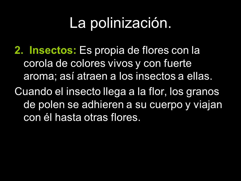 La polinización. 2. Insectos: Es propia de flores con la corola de colores vivos y con fuerte aroma; así atraen a los insectos a ellas.