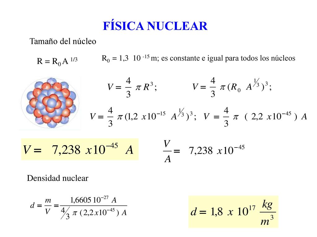 FÍSICA NUCLEAR Tamaño del núcleo R = R0 A 1/3 Densidad nuclear