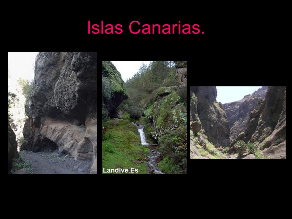 Islas Canarias.