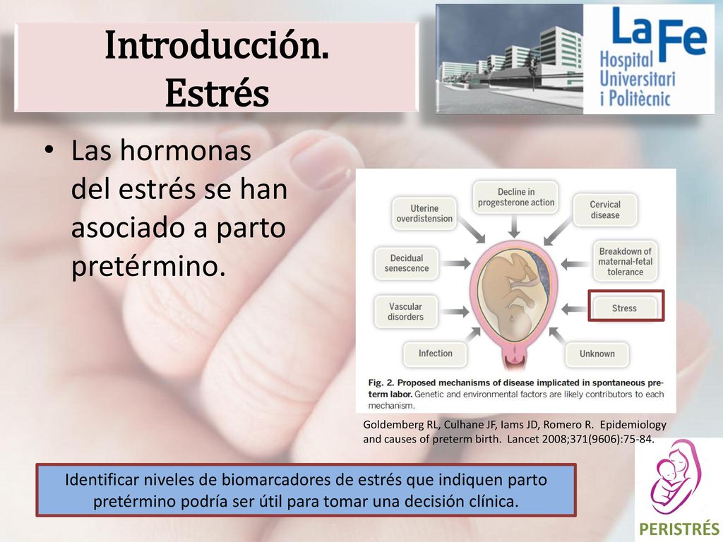 Introducción. Estrés Las hormonas del estrés se han asociado a parto pretérmino.