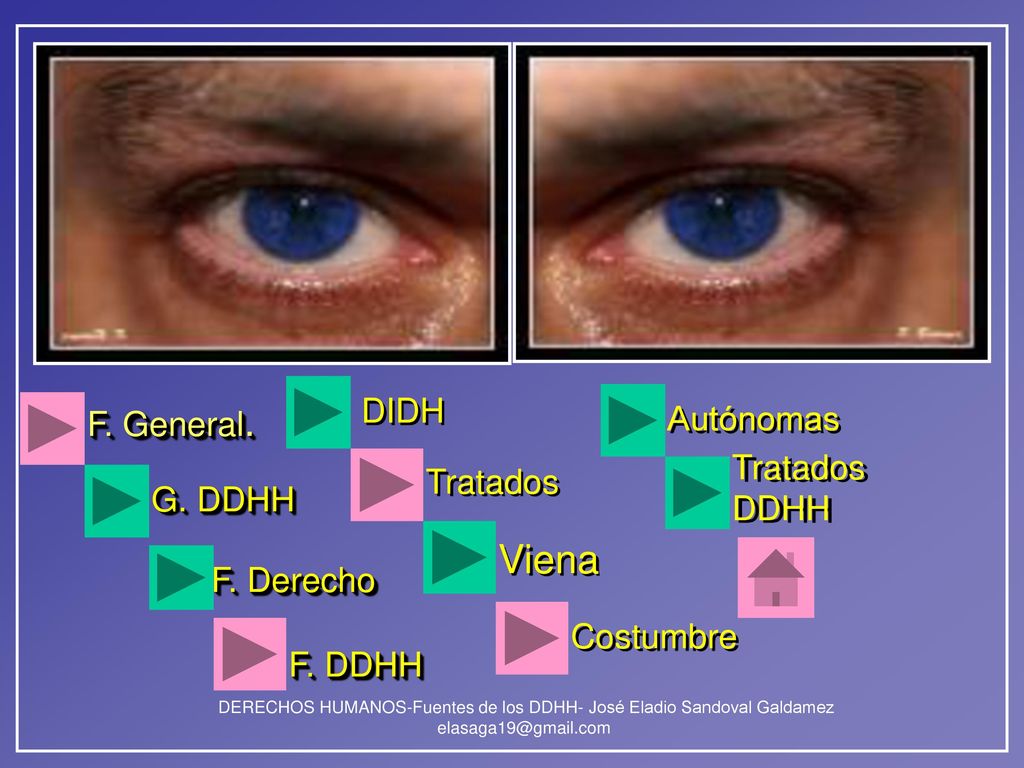 Viena DIDH F. General. Autónomas Tratados DDHH Tratados G. DDHH