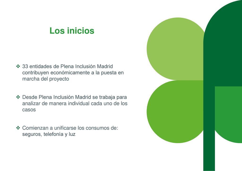 Los inicios 33 entidades de Plena Inclusión Madrid contribuyen económicamente a la puesta en marcha del proyecto.