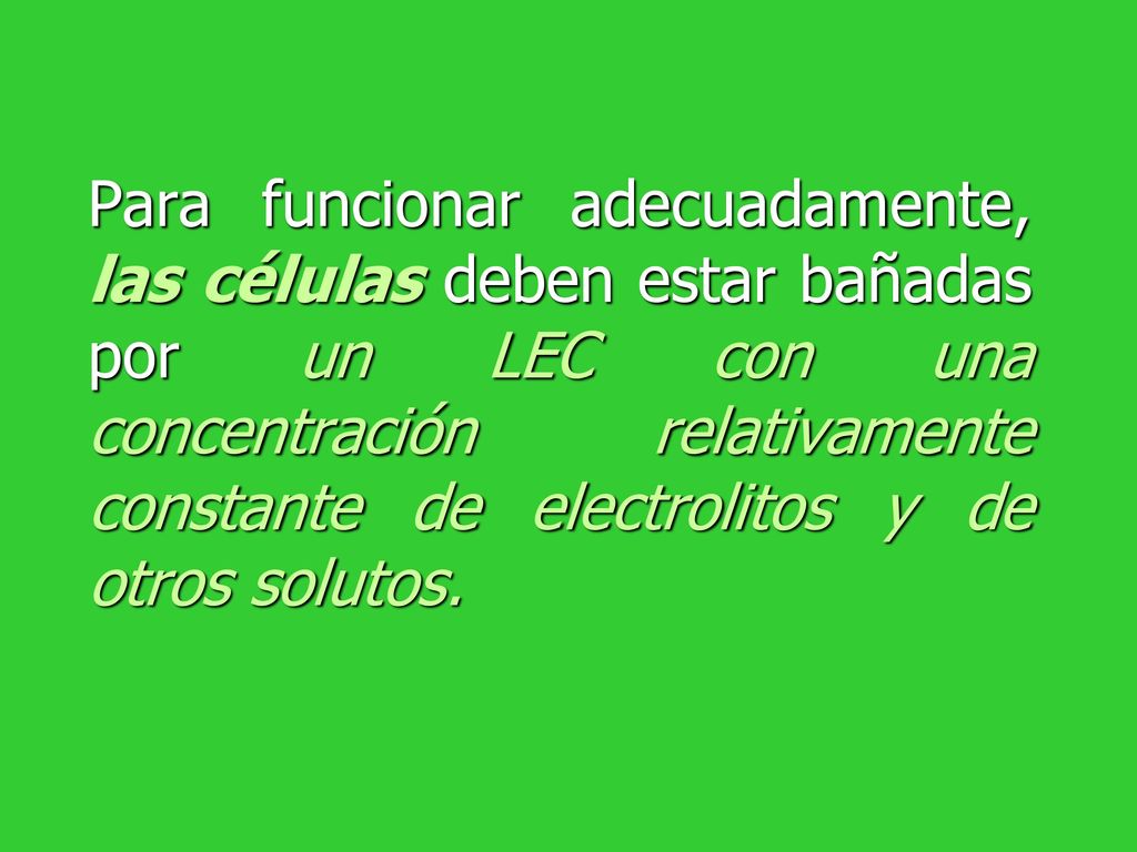 Para funcionar adecuadamente, las células deben estar bañadas por un LEC con una concentración relativamente constante de electrolitos y de otros solutos.