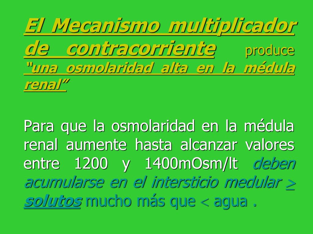 El Mecanismo multiplicador de contracorriente produce una osmolaridad alta en la médula renal