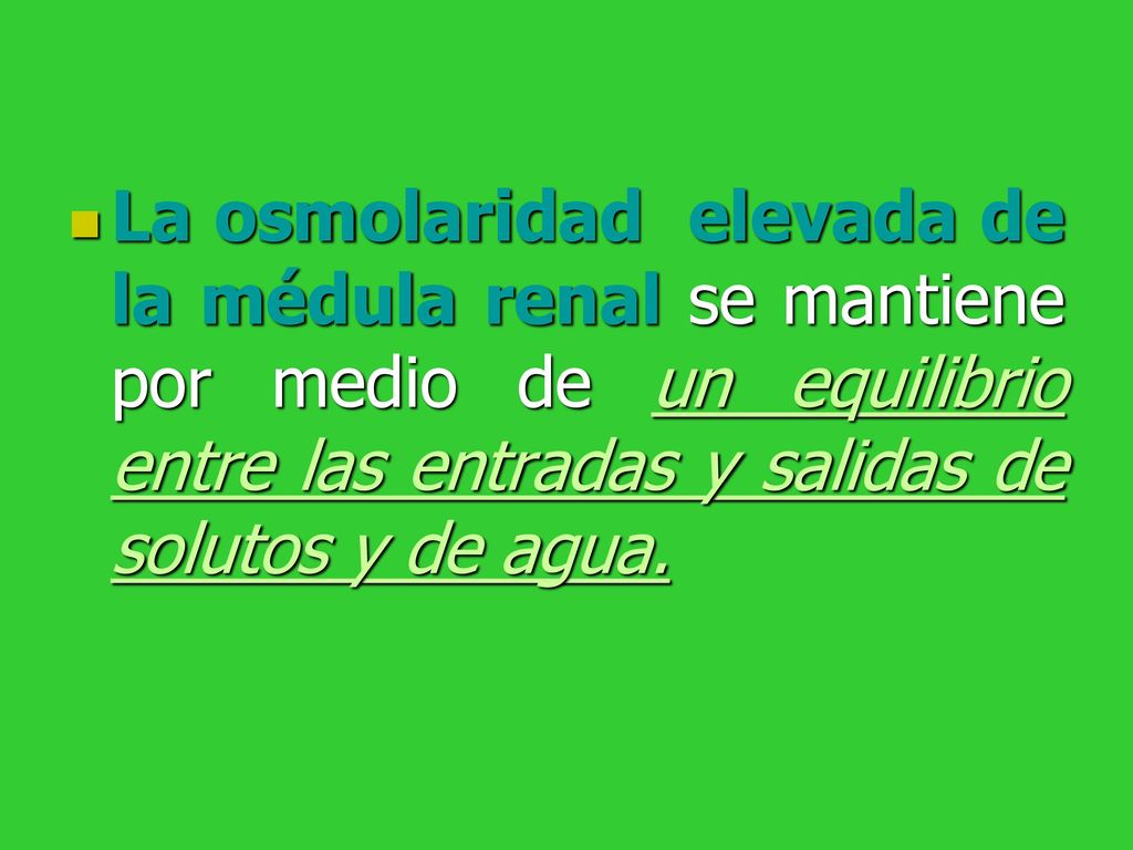 La osmolaridad elevada de la médula renal se mantiene por medio de un equilibrio entre las entradas y salidas de solutos y de agua.