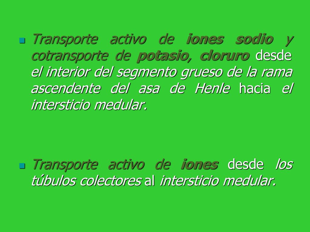 Transporte activo de iones sodio y cotransporte de potasio, cloruro desde el interior del segmento grueso de la rama ascendente del asa de Henle hacia el intersticio medular.