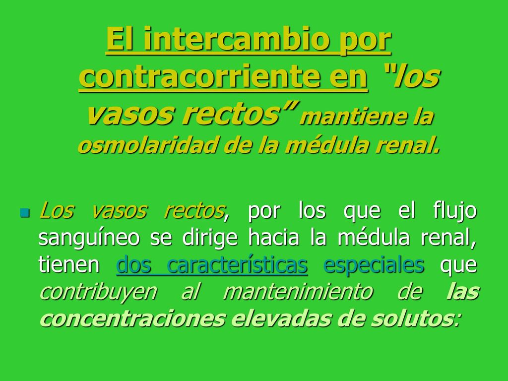 El intercambio por contracorriente en los vasos rectos mantiene la osmolaridad de la médula renal.