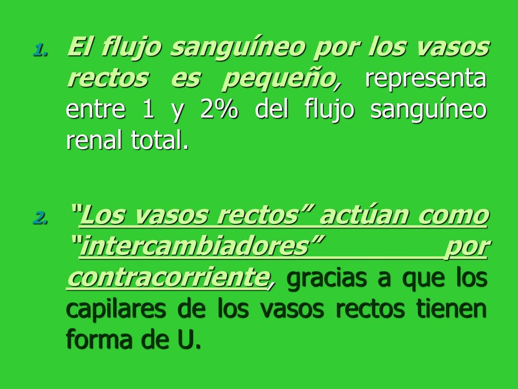 El flujo sanguíneo por los vasos rectos es pequeño, representa entre 1 y 2% del flujo sanguíneo renal total.