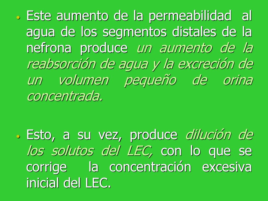 Este aumento de la permeabilidad al agua de los segmentos distales de la nefrona produce un aumento de la reabsorción de agua y la excreción de un volumen pequeño de orina concentrada.