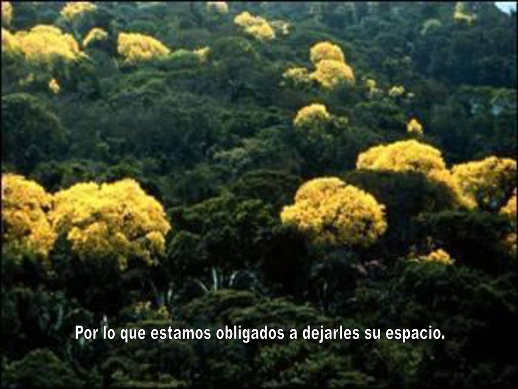 Por lo que estamos obligados a dejarles su espacio.