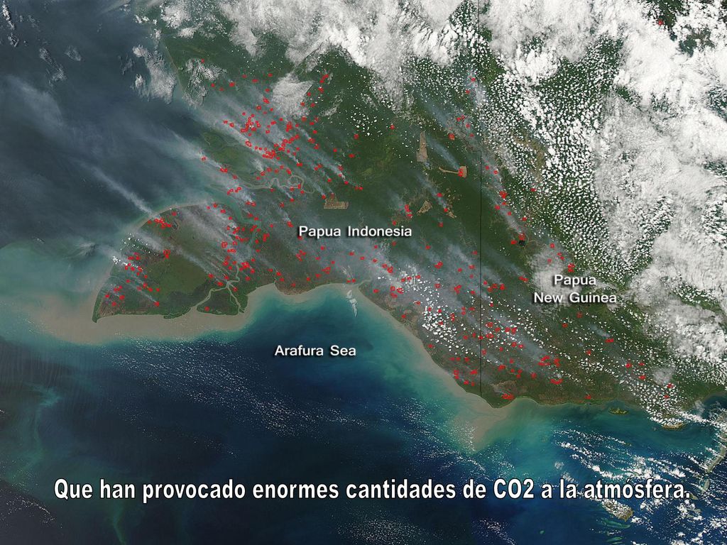 Que han provocado enormes cantidades de CO2 a la atmósfera.