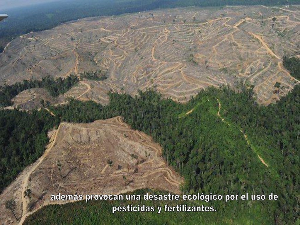además provocan una desastre ecológico por el uso de