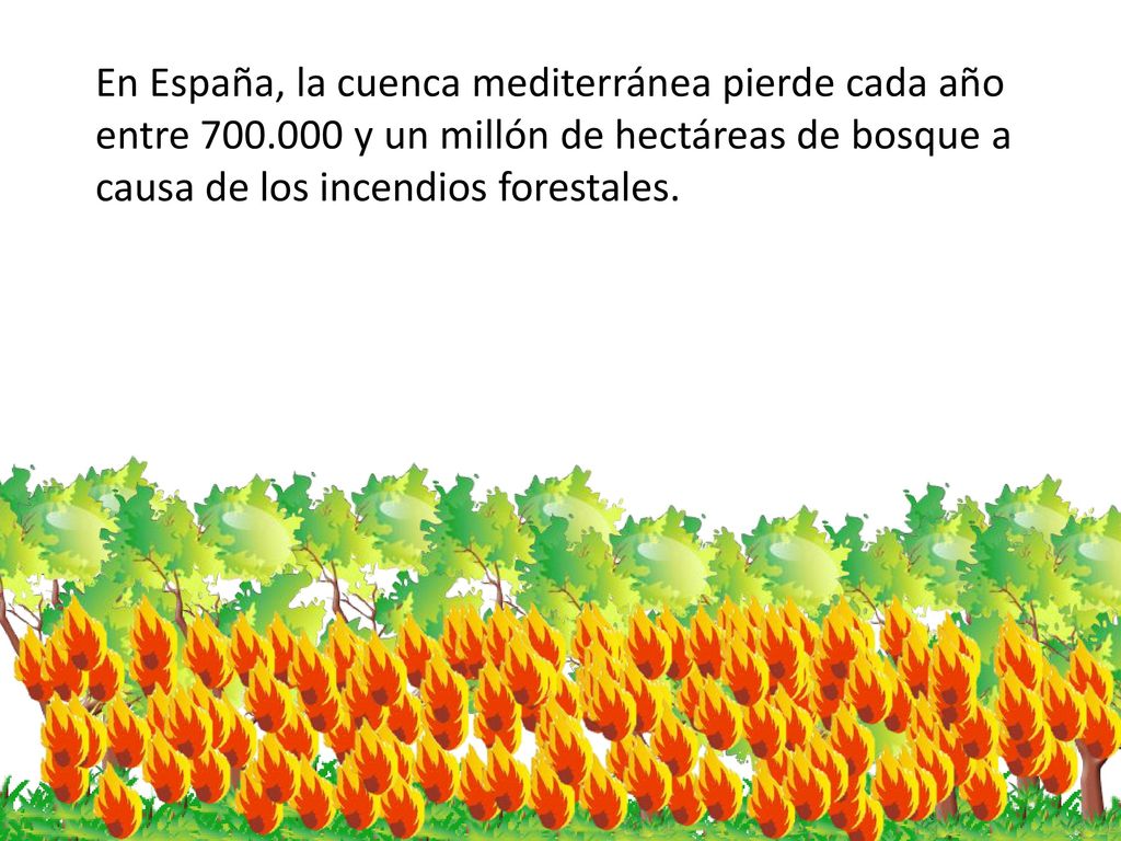 En España, la cuenca mediterránea pierde cada año entre 700