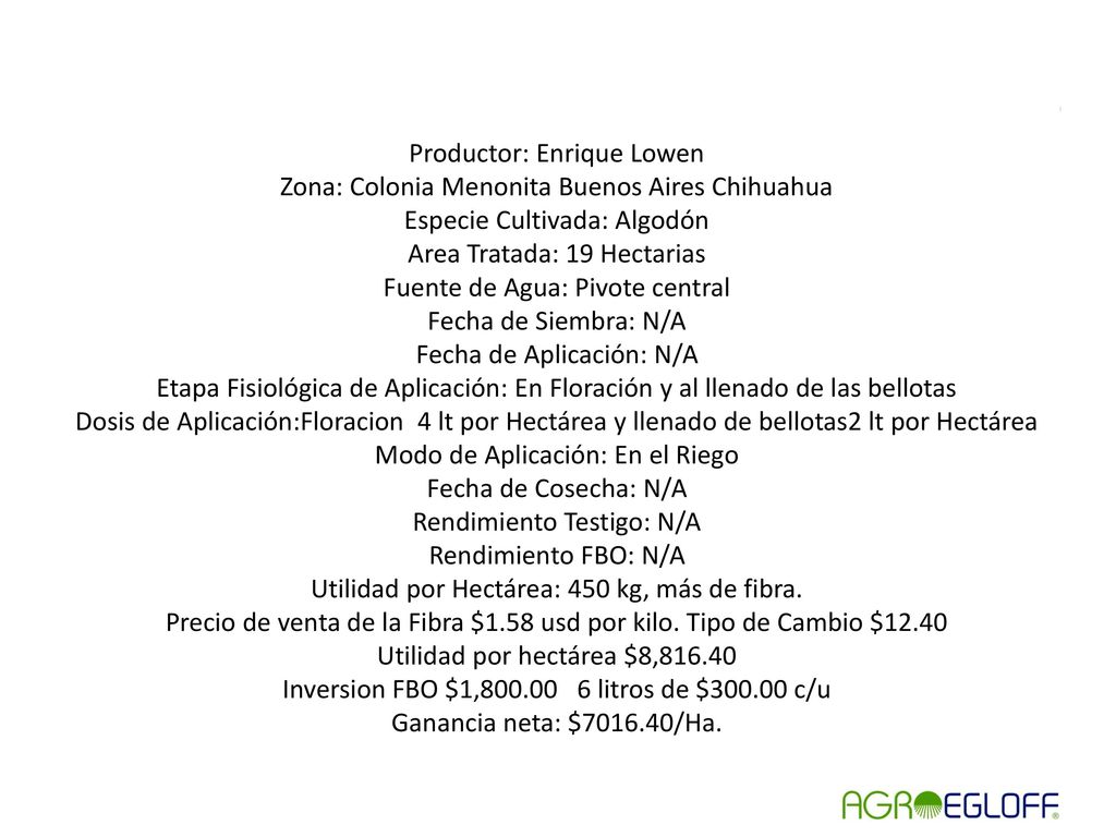Productor: Enrique Lowen Zona: Colonia Menonita Buenos Aires Chihuahua