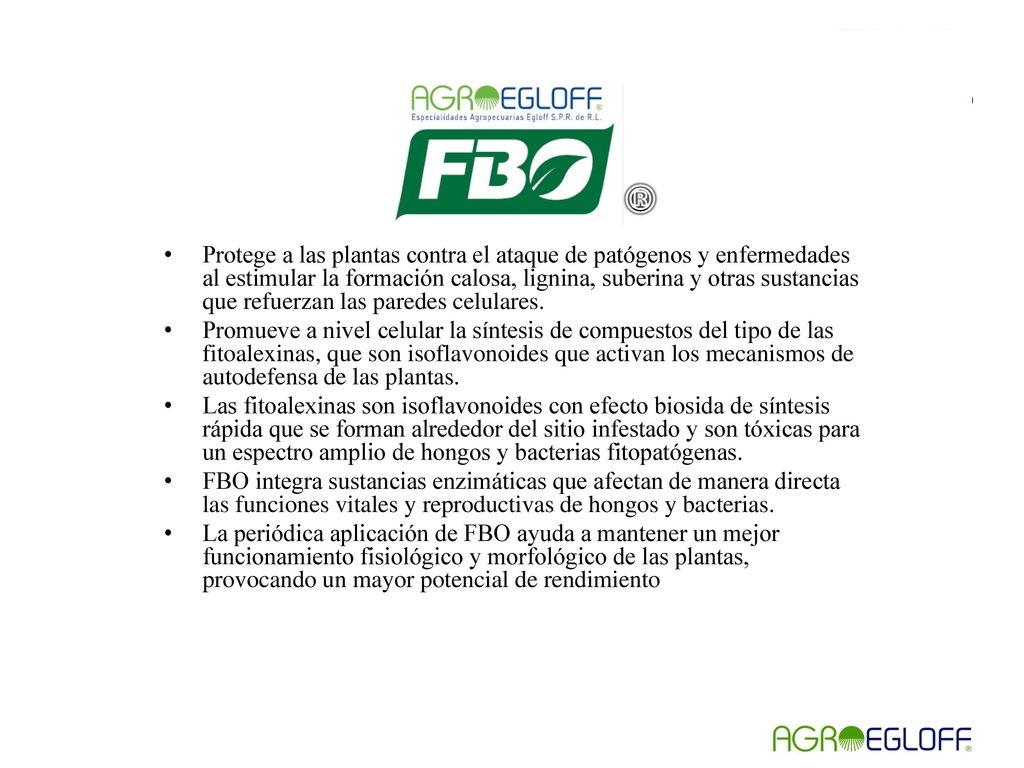 Protege a las plantas contra el ataque de patógenos y enfermedades al estimular la formación calosa, lignina, suberina y otras sustancias que refuerzan las paredes celulares.