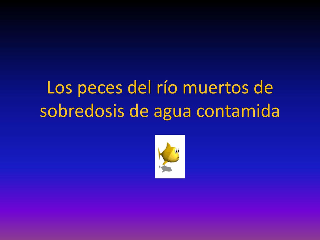 Los peces del río muertos de sobredosis de agua contamida