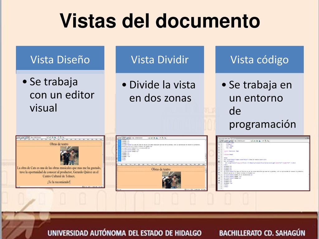 Vistas del documento Vista Diseño Se trabaja con un editor visual