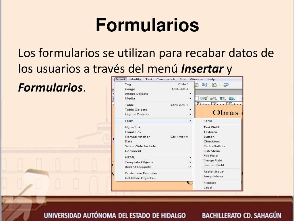 Formularios Los formularios se utilizan para recabar datos de los usuarios a través del menú Insertar y Formularios.