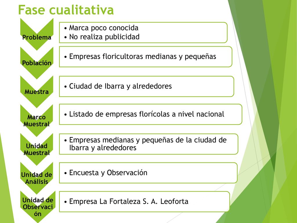 Fase cualitativa Marca poco conocida No realiza publicidad