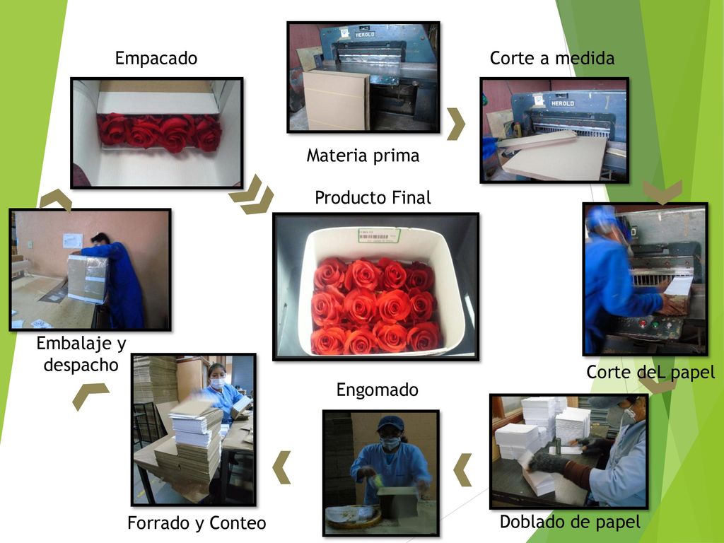 Empacado Corte a medida. Materia prima. Producto Final. Embalaje y despacho. Corte deL papel. Engomado.