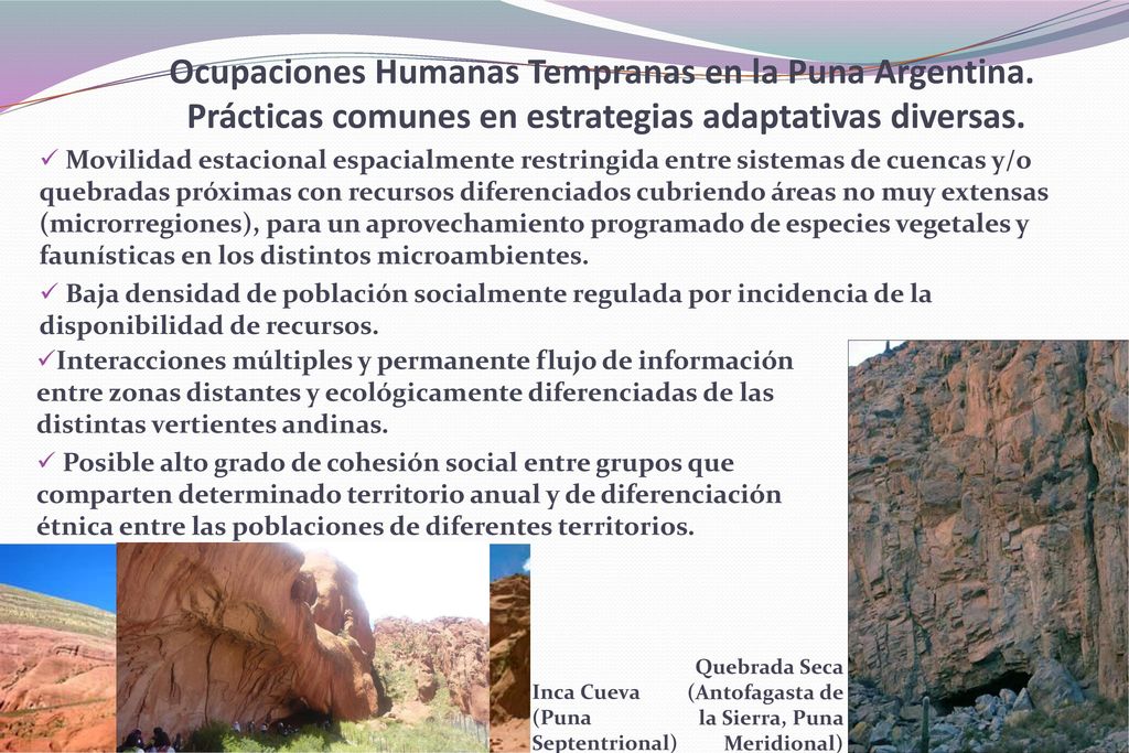 Ocupaciones Humanas Tempranas en la Puna Argentina - Arte rupestre