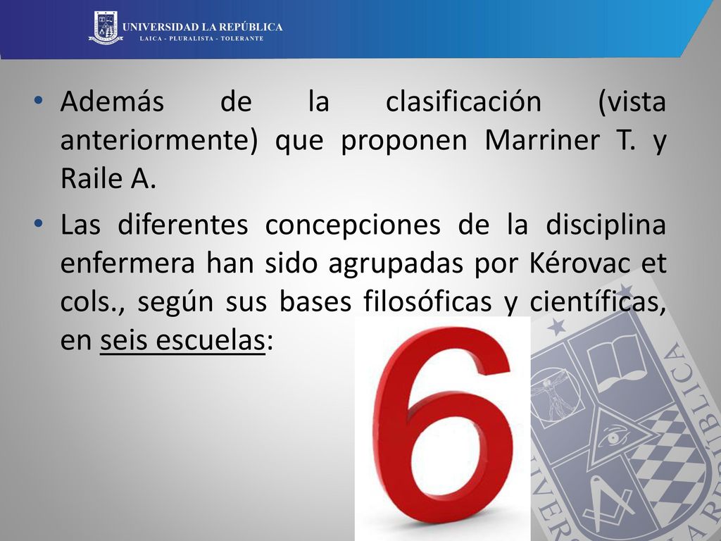 Además de la clasificación (vista anteriormente) que proponen Marriner T. y Raile A.
