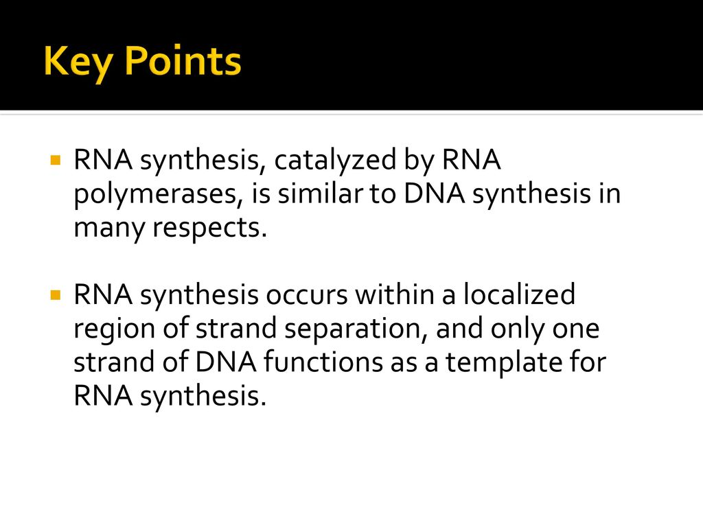 Key Points RNA synthesis, catalyzed by RNA polymerases, is similar to DNA synthesis in many respects.