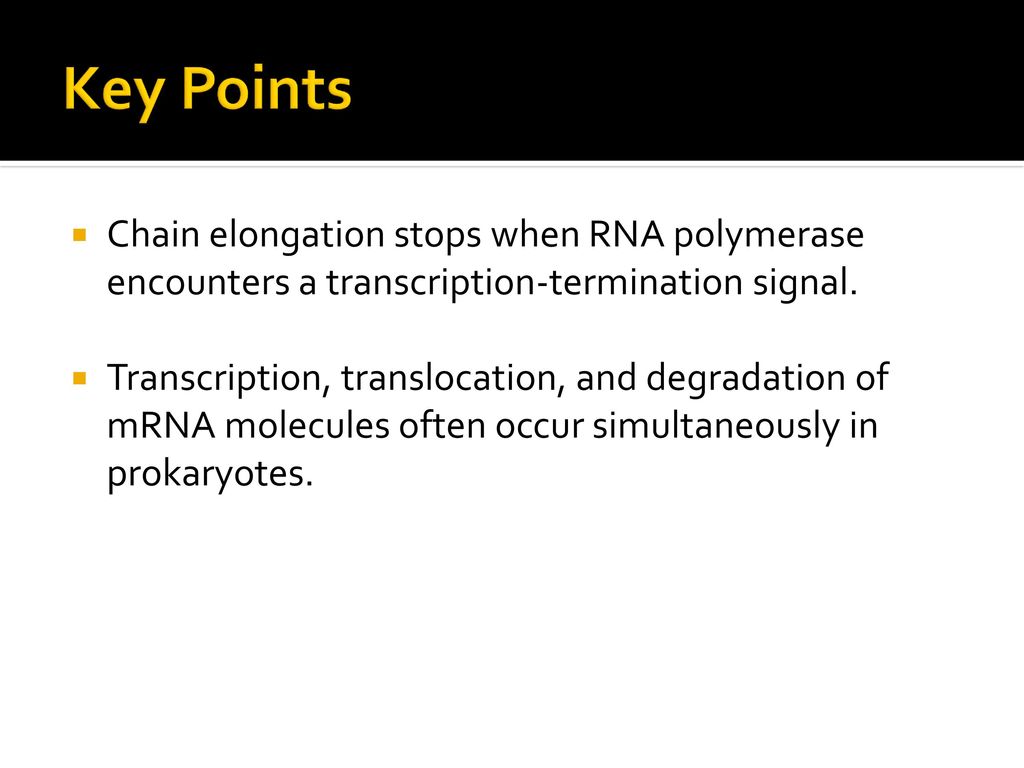 Key Points Chain elongation stops when RNA polymerase encounters a transcription-termination signal.