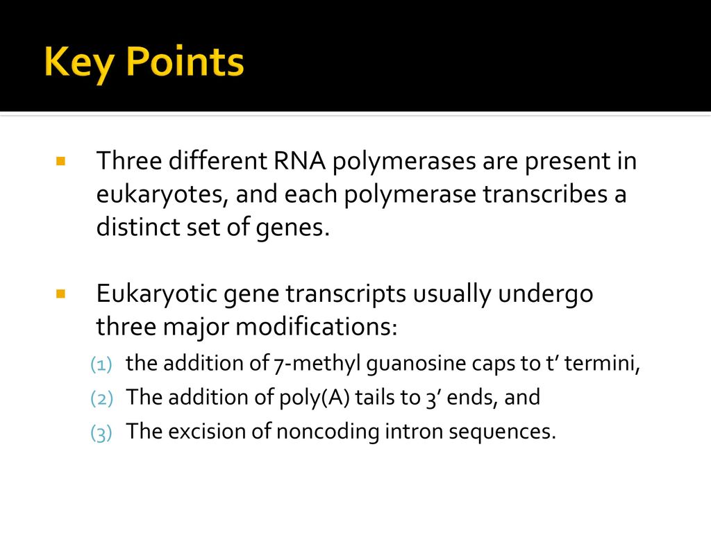 Key Points Three different RNA polymerases are present in eukaryotes, and each polymerase transcribes a distinct set of genes.