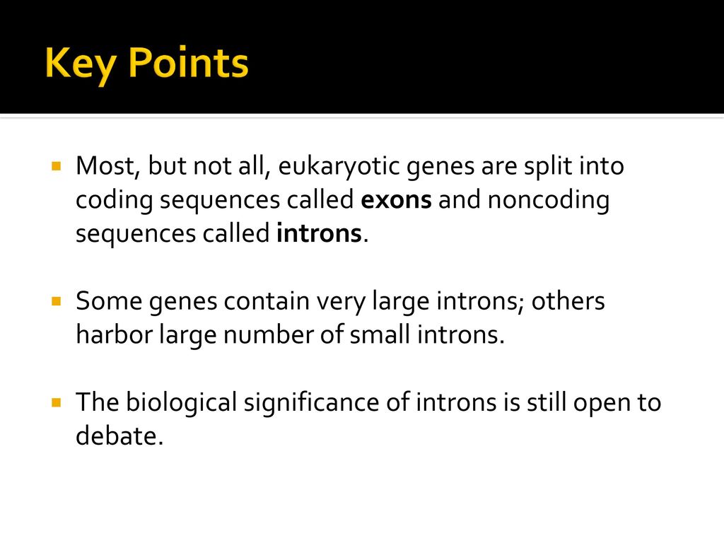Key Points Most, but not all, eukaryotic genes are split into coding sequences called exons and noncoding sequences called introns.