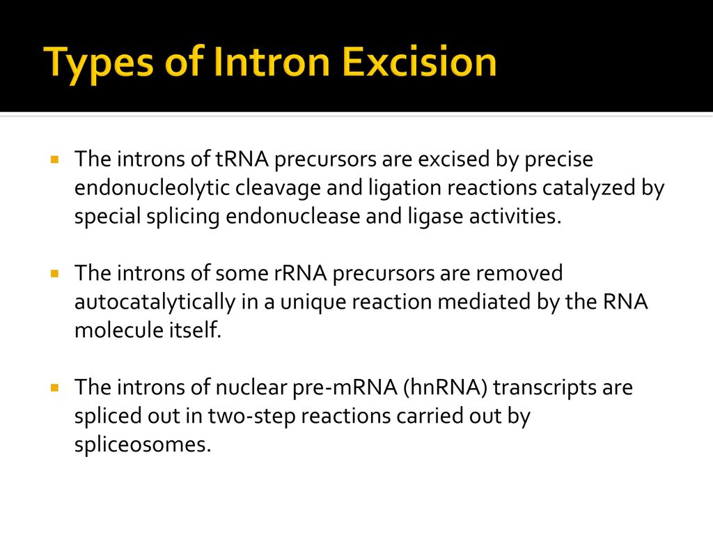 Types of Intron Excision