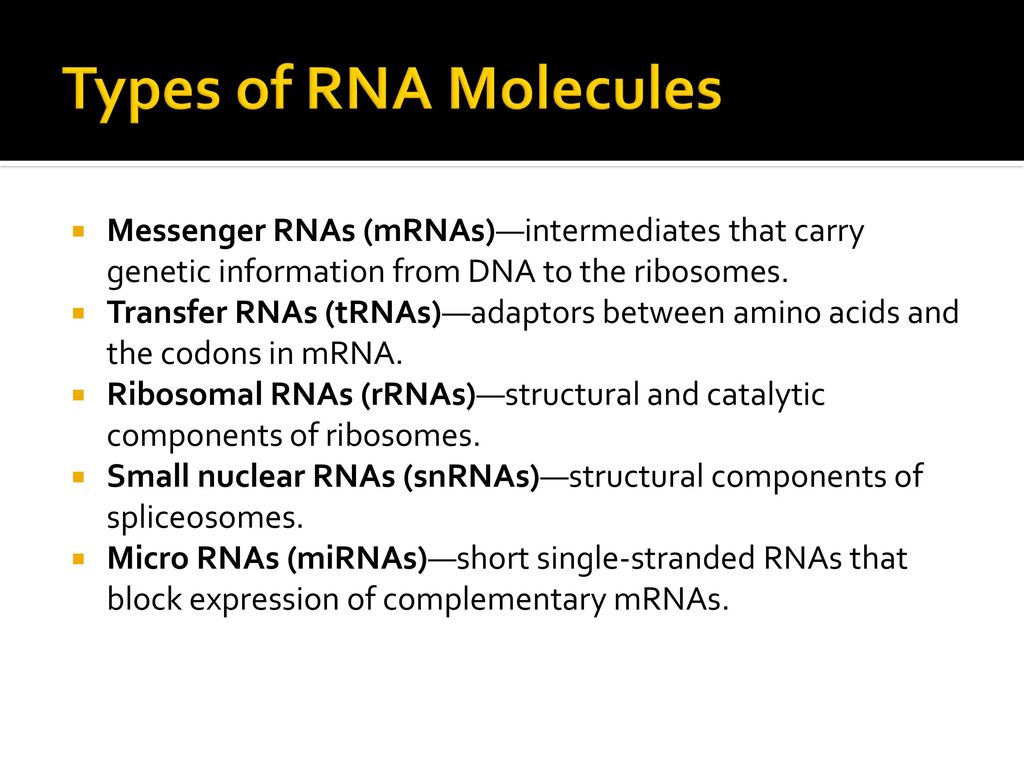 Types of RNA Molecules Messenger RNAs (mRNAs)—intermediates that carry genetic information from DNA to the ribosomes.