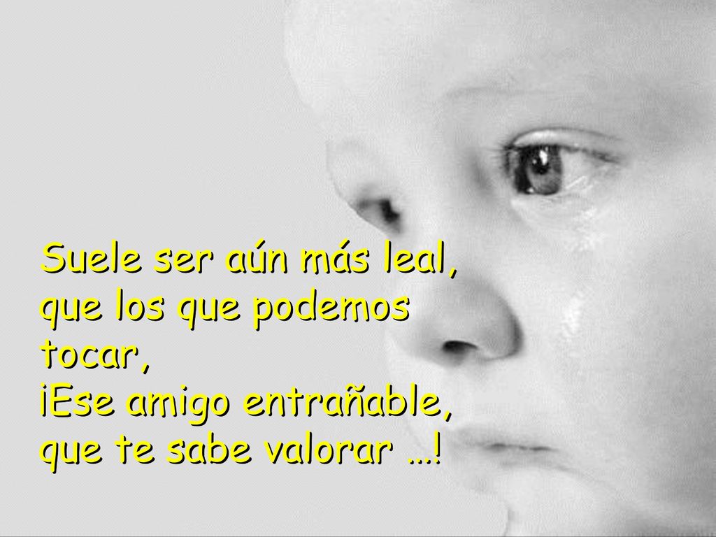 Suele ser aún más leal, que los que podemos tocar, ¡Ese amigo entrañable, que te sabe valorar …!